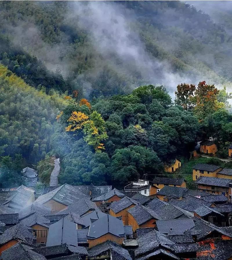 探探猫历险记2