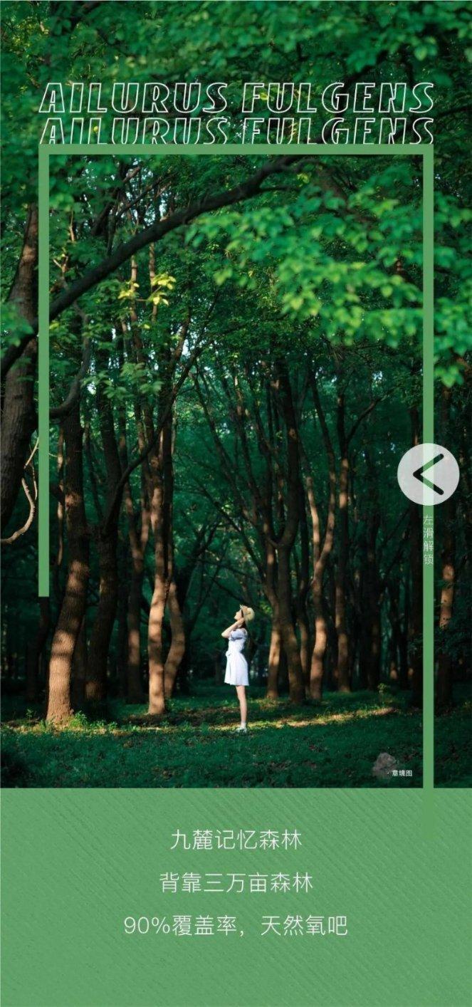 可爱奥莉甜美夏装